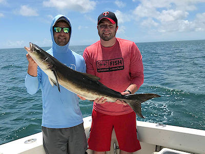Oregon Inlet charter angler holds up tasty cobia.