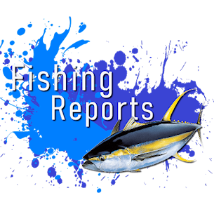 Click for Outer Banks fishing reports