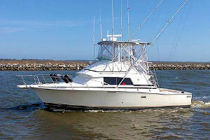 Our Instigator charter boat is a Bertram Sportfishing Yacht.