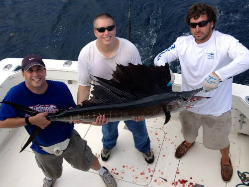Outer Banks sail fish release on Instigator.