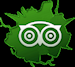 Trip Advisor